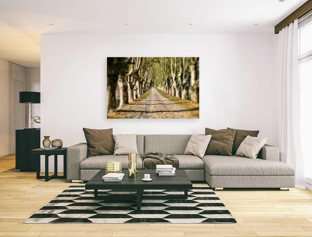 Rustic Road Photography Print