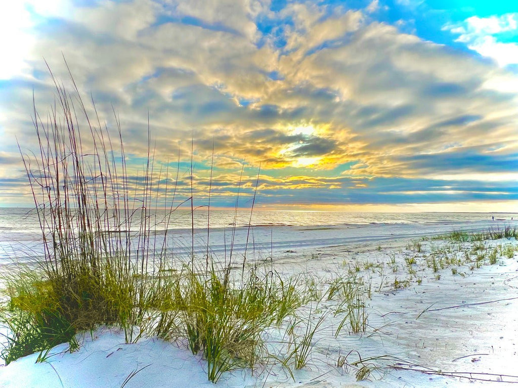 Beach sunset with sea oats, golden hour glow, pink and purple sky, calm ocean backdrop.

