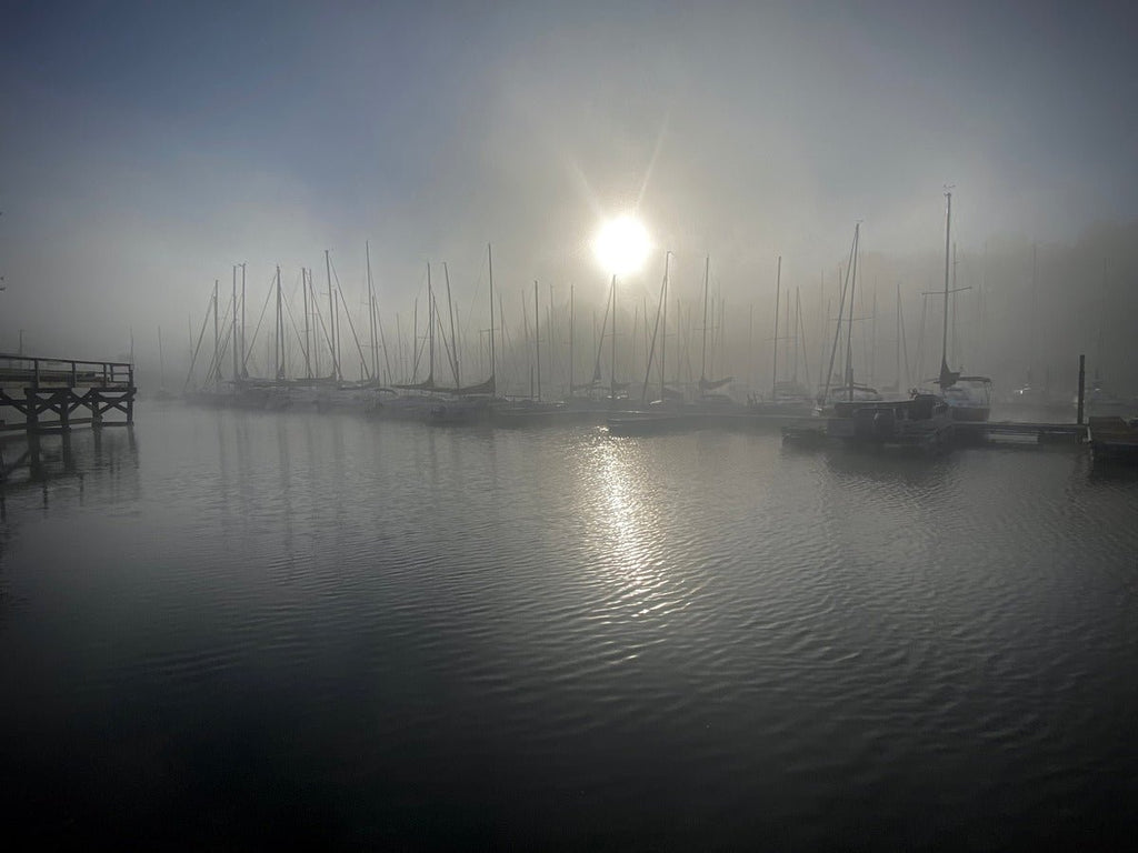 Foggy marina at sunrise with sailboats, wooden pier, and subtle sunlight reflections by Michael W. Rutherford.