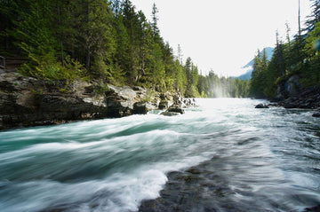 "River Rapids: Emerald Torrent" Turquoise-green river flowing through a coniferous forest."