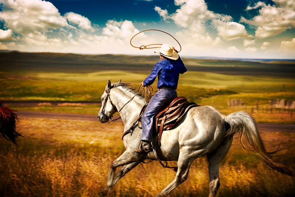 Young cowboy with lasso riding grey horse under expansive sky, evoking the spirit of the American West in a Michael W. Rutherford photograph.