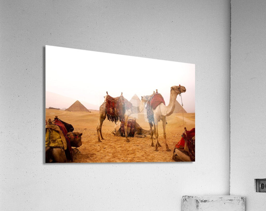 Cultural Desert Scene Art