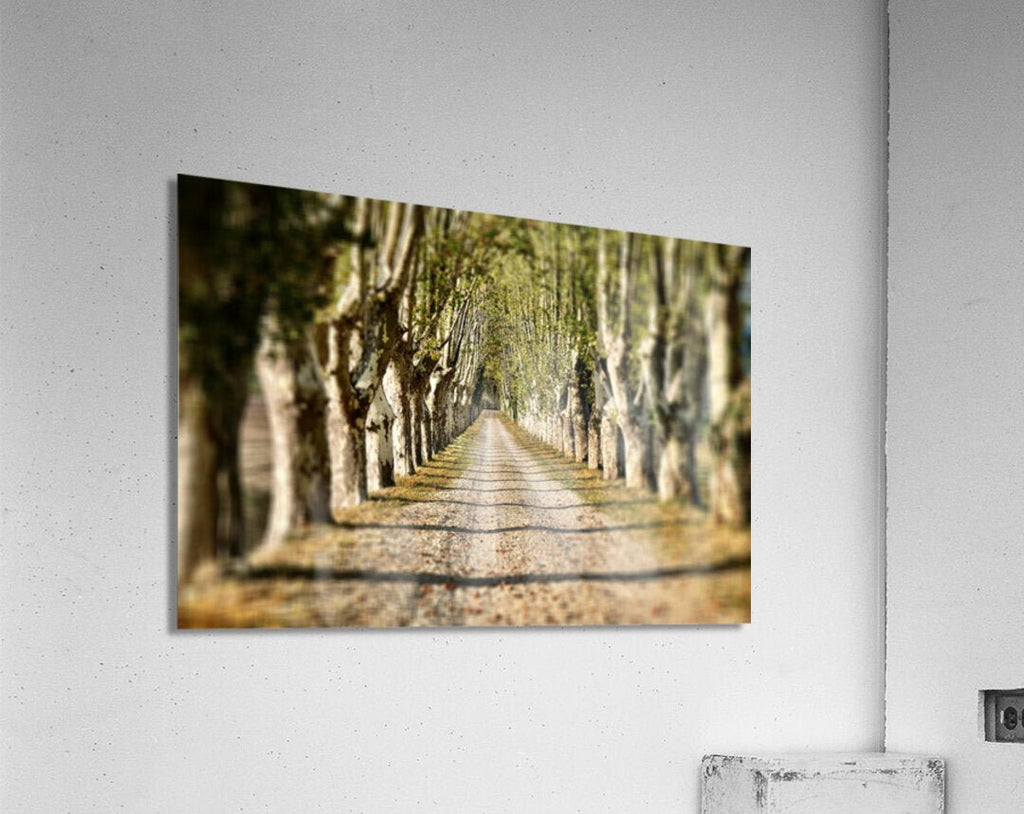 Acrylic Print