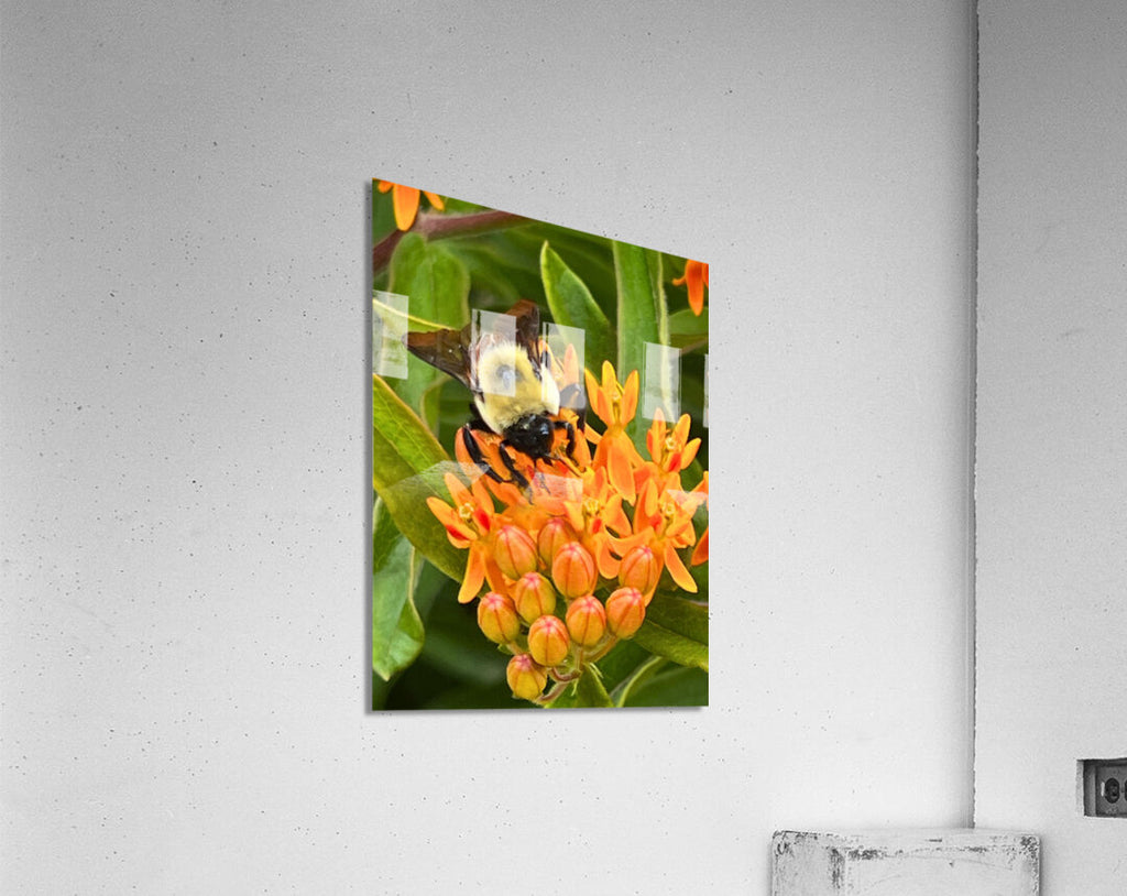 Eco-Friendly Bee Artwork