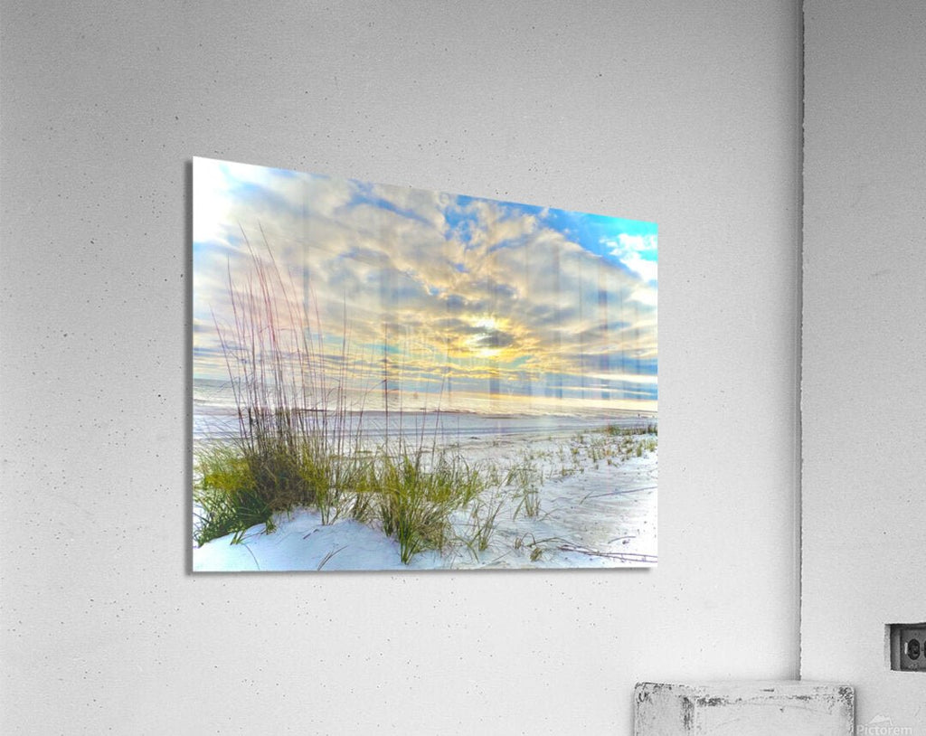 Acrylic Print