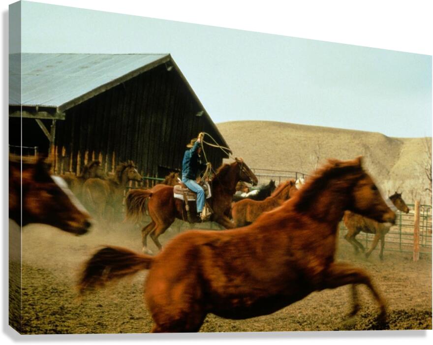 Giclée Stretched Canvas Print