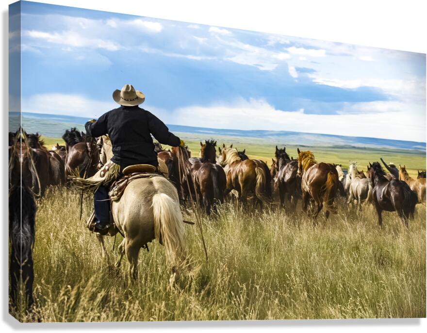 Giclée Stretched Canvas Print