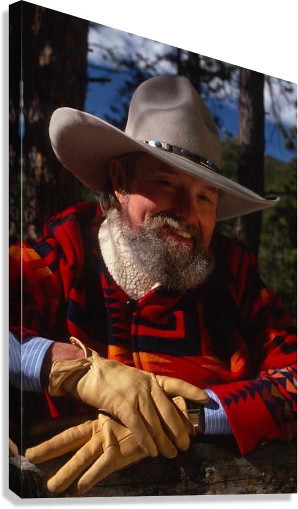 Patriotic Americana Art