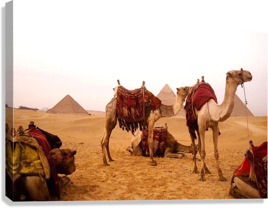 Historical Egyptian Print