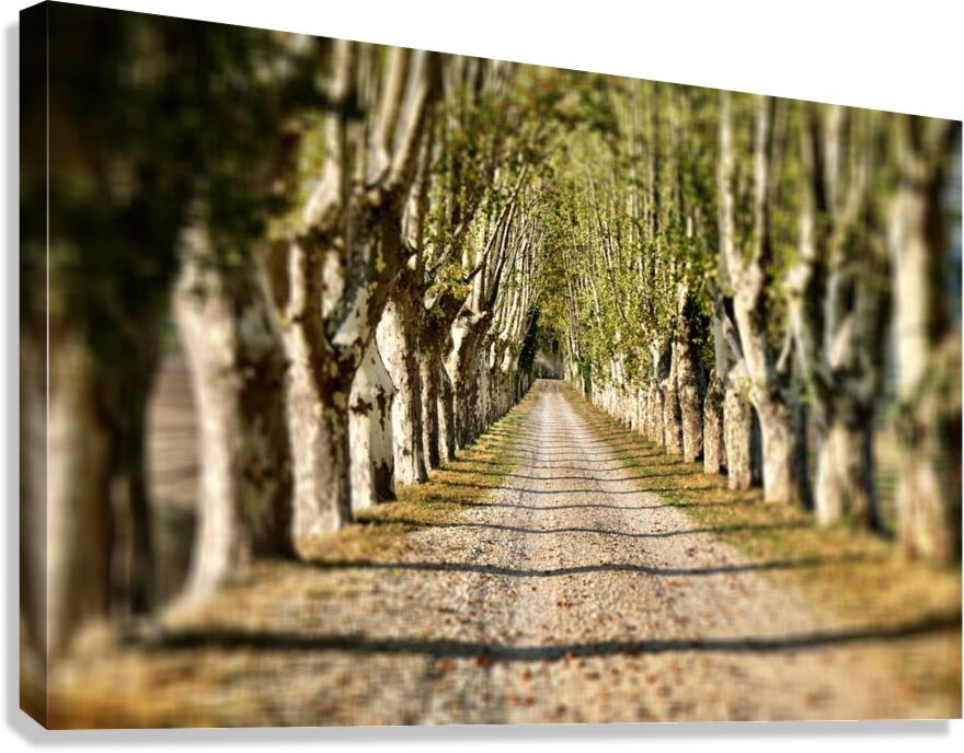 Scenic European Travel Art