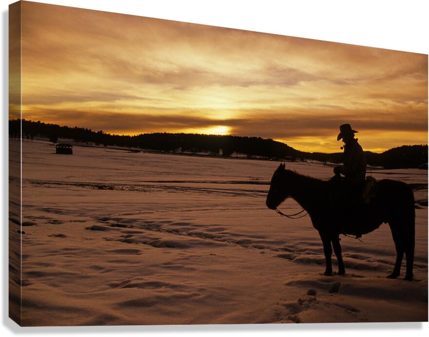 Giclée Stretched Canvas Print