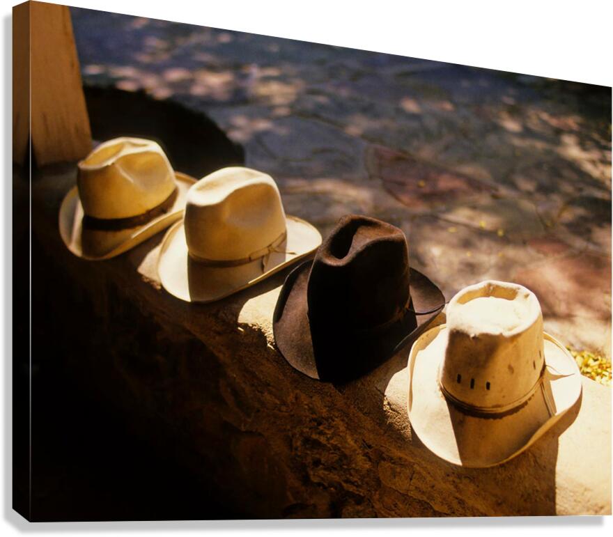 Cowboy Culture Wall Art