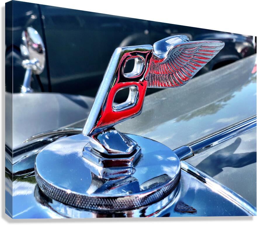 Luxury Car Art Print