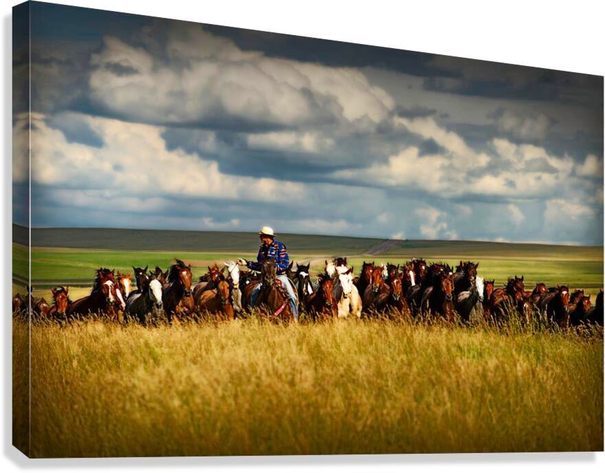 Giclée Stretched Canvas Print