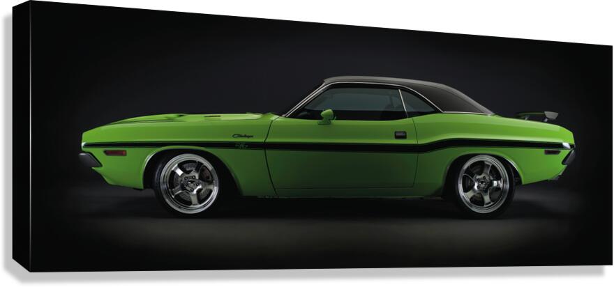 Giclée Stretched Canvas Print