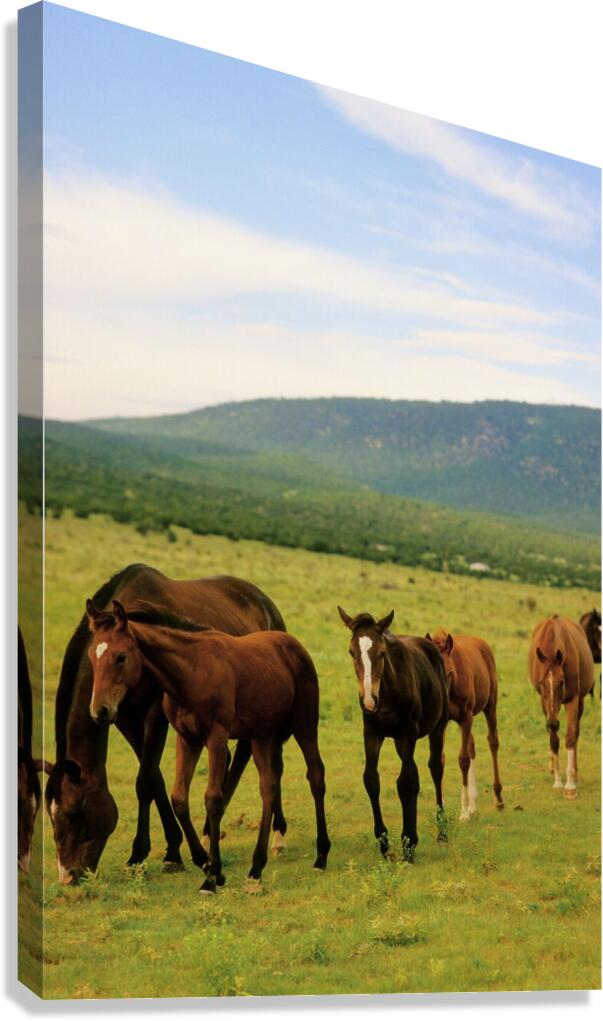 Giclée Stretched Canvas Print