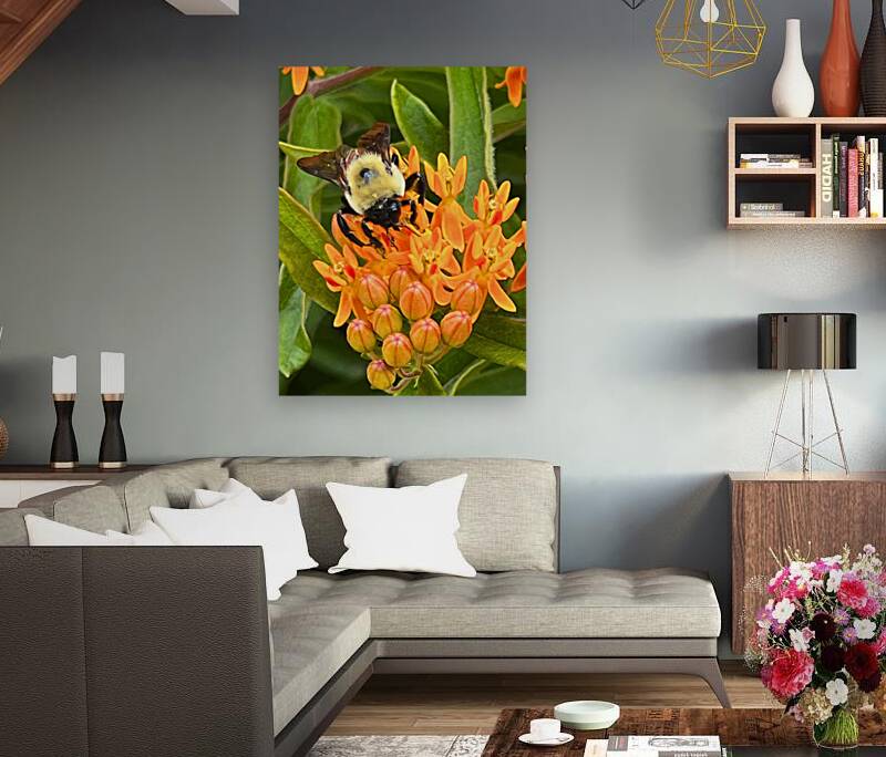 Nature-Inspired Home Decor